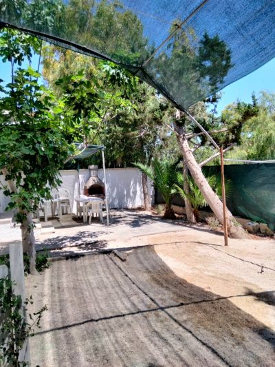 Casetta Palma Punta Prosciutto a Giugno ombrellone in spiaggia incluso nel prezzo