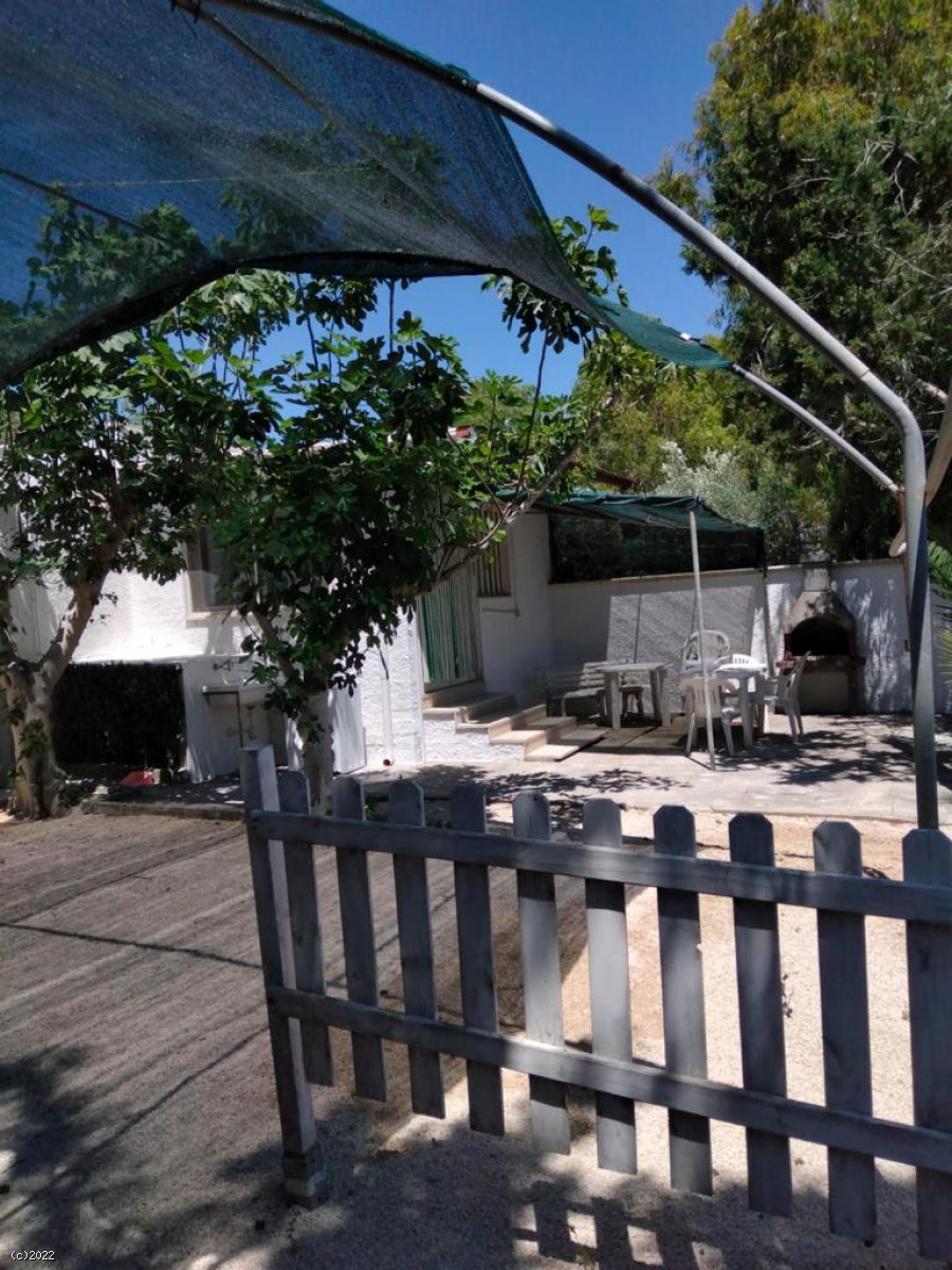 Casetta Palma Punta Prosciutto a Giugno ombrellone in spiaggia incluso nel prezzo